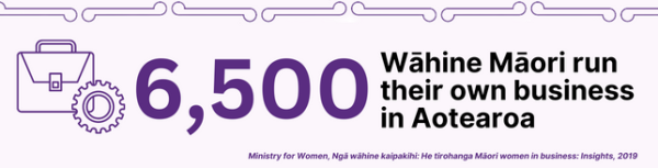 6500 wahine Maori run their own business, Ministry for Women, Nga wahine kaipakihi: he tirohanga maori women in business: insights, 2019