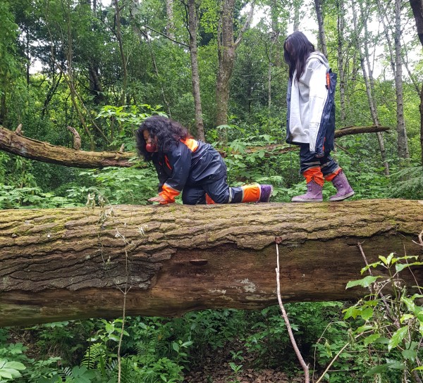 Nature school, two girls climb over fallen tree bridge