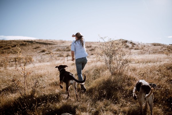 woman walking across field with two dogs on sunny day